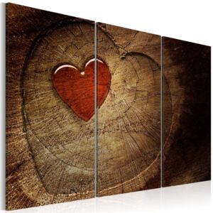 Obraz na plátne Bimago - Old love does not rust - 3 pieces 60x40 cm