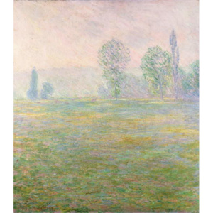 Reprodukcia, Obraz - Meadows in Giverny, 1888, Claude Monet