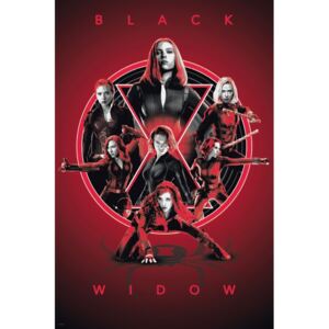 Plagát, Obraz - Black Widow - Legacy, (61 x 91,5 cm)