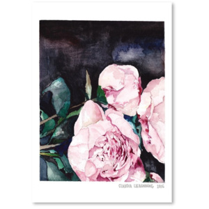 Plagát Blooms on Black I, 30 × 42 cm