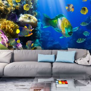 Fototapeta - Underwater paradise 200x154 cm