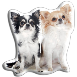 Vankúšik Adorable Cushions Dve čivavy