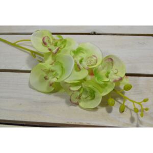 Umelá orchidea - zelená (V:70cm) 075 veľkosť