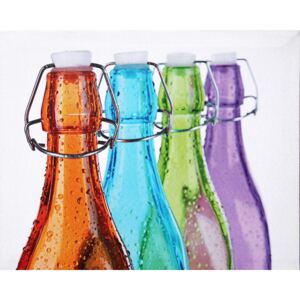 Obraz na plátne - Farebné fľašky 1, 40x50 cm