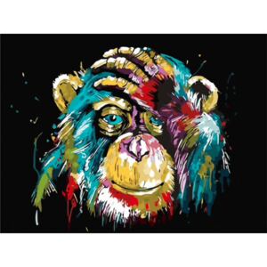 Maľovanie podľa čísiel "Farebná opica" 40x50 cm