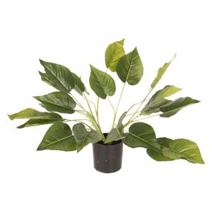 Dekoračné izbová rastlina - 46 cm