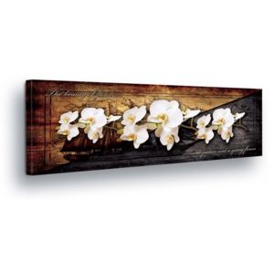 Obraz na plátne - White Flower Decoration in Gray-Brown Background 45x145 cm