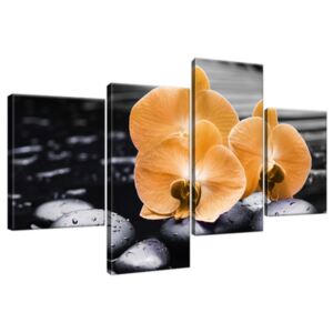 Obraz na plátne Krásna oranžová orchidea 120x70cm 1714A_4AA