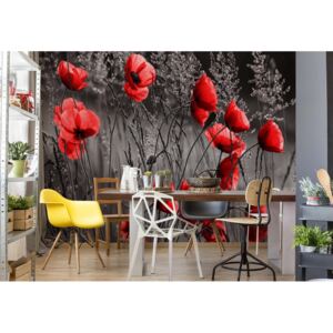 Fototapeta - Red Poppies Black And White Vliesová tapeta - 416x254 cm