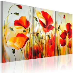 Bimago Ručne maľovaný obraz - Red meadow 120x80 cm