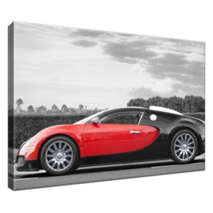 Obraz na plátne Bugatti Veyron – Axion23 30x20cm 1689A_1T