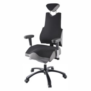 PROWORK Zdravotná ergonomická stolička THERAPIA BODY L COM 3610