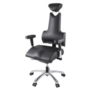 PROWORK Zdravotná ergonomická stolička THERAPIA ENERGY L COM 3512
