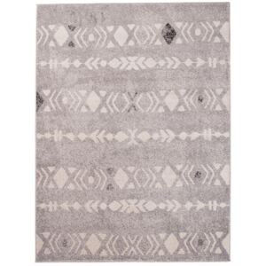 Kusový koberec Isac sivý 120x170, Velikosti 120x170cm