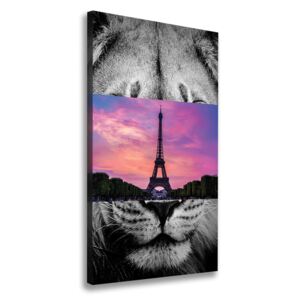Foto obraz na plátne Eiffelová veža Paríž pl-oc-70x140-f-74472926