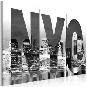 Obraz na plátne - New York (černobílý) 60x40 cm