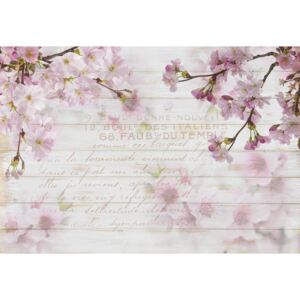 Fototapeta, Tapeta Vintage Chic Cherry Blossom Wood Planks, (104 x 70.5 cm)