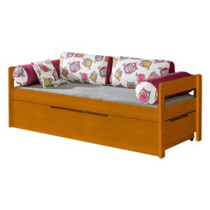 Študentská posteľ Norys NO1, Farby: borovica namorená na jelšu / sovy, zásuvka: nie
