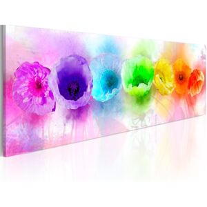 Obraz na plátne - Rainbow-hued poppies 120x40 cm