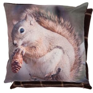 REAL ANIMALS vešiak vankúša veveričky - 45 * 45 cm