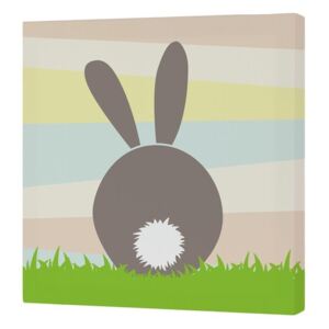 Obraz Little W Little Rabbits B, 27 × 27 cm