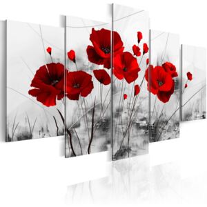 Bimago Obraz na plátne - Máky - červený zázrak 100x50 cm