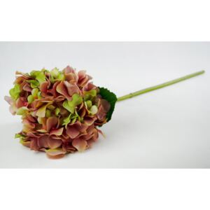 Dekorácie ružovo-zelená hortenzie - 80 cm
