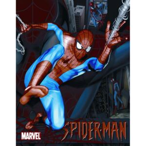Plechová ceduľa: Spiderman - 40x30 cm