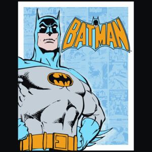 Plechová ceduľa: Batman (Retro Panels) - 40x30 cm