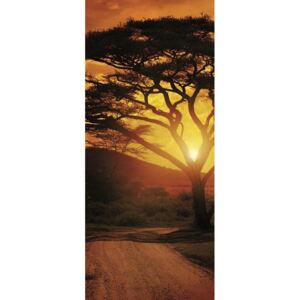 Donga Fototapeta: Africký západ slnka - 211x91 cm