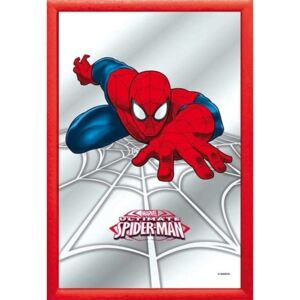 Zrkadlo - Spiderman (2)