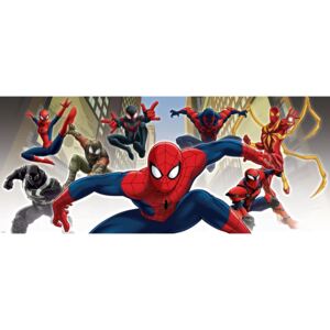 Donga Fototapeta: Spiderman (1) - 104x250 cm