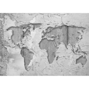 Donga Fototapeta: Umelecká mapa sveta (2) - 254x368 cm
