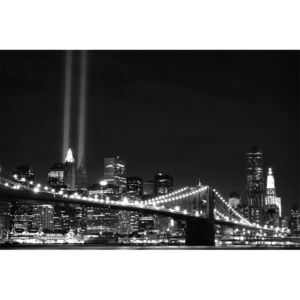 Donga Fototapeta: Čiernobiely Brooklyn Bridge (2) - 254x368 cm
