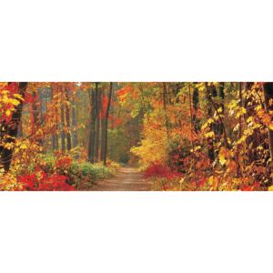 Donga Fototapeta: Jesenný les - 104x250 cm