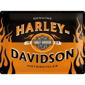Nostalgic Art Plechová ceduľa: Harley-Davidson (Flames) - 30x40 cm