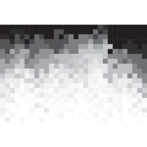 Donga Fototapeta: Čiernobiele pixely (1) - 184x254 cm