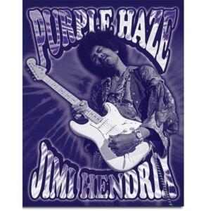 Plechová ceduľa: Jimi Hendrix (Purple Haze) - 40x30 cm