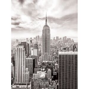 Donga Fototapeta: Pohľad na New York (čiernobiela) - 254x184 cm