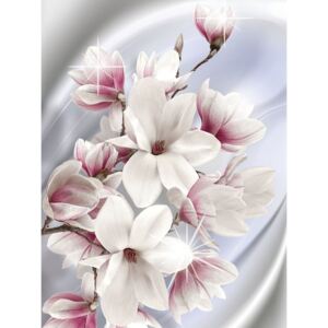 Donga Fototapeta: Magnolia (1) - 254x184 cm