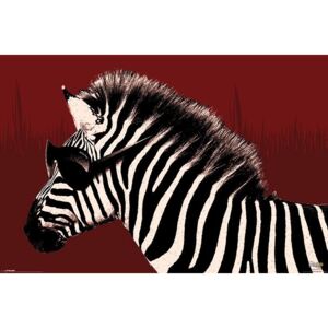 Plagát - Troy (zebra)