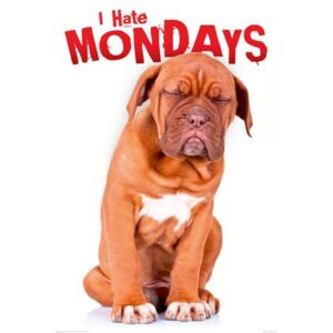 Plagát - Aj Hate Mondays