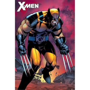 Plagát - X-Men (Wolverine)