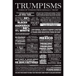 Plagát - Trumpisms
