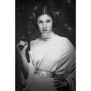 Plagát - Star Wars Princezná Leia (1)