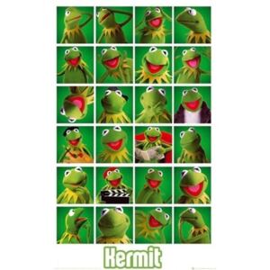 Plagát - The Muppets kermit collage