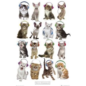 Plagát - Mačky so slúchadlami, Keith Kimberlin