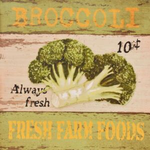 Obraz na plátne - Broccoli (Fresh Farm Foods)
