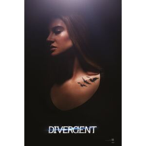 Plagát - Divergent (2)