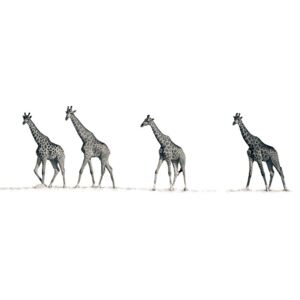 Obraz na plátne - Mario Moreno, The Giraffes